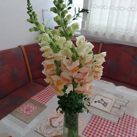 Appartamento Tisa Capodistria