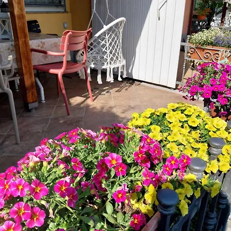 Apartament Tisa