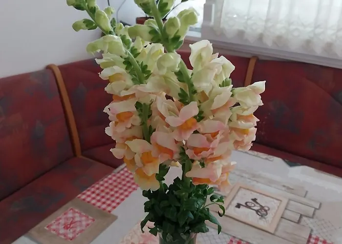 Διαμέρισμα Tisa Κόπερ